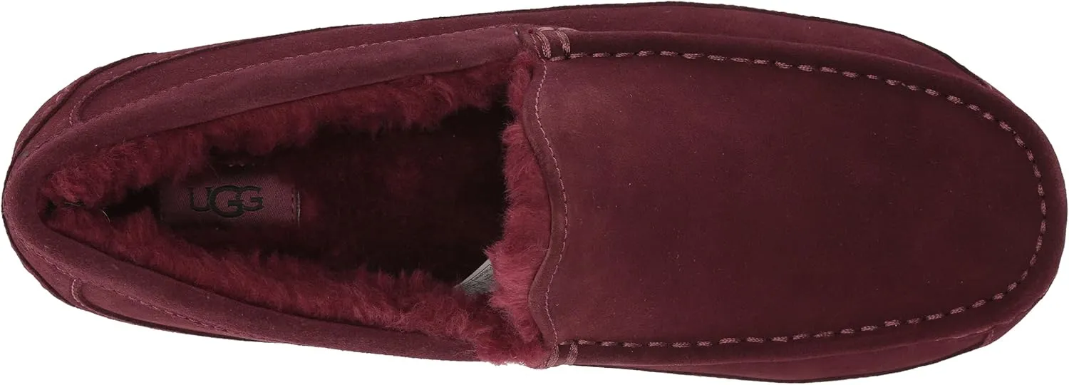 UGG Men's Ascot Slipper
